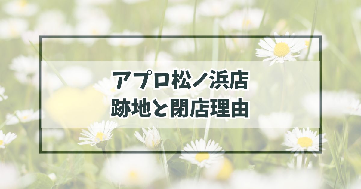 アプロ松ノ浜店の跡地どうなる？閉店理由は家賃が高く採算が取れなかったから？