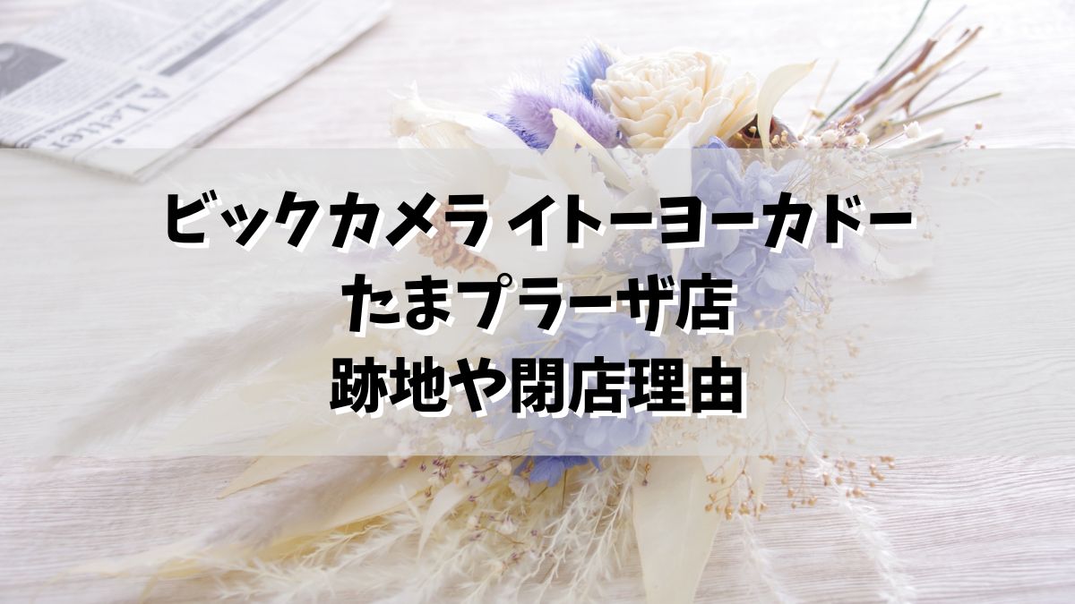 ビックカメラ イトーヨーカドーたまプラーザ店の閉店で跡地どうなる？閉店理由や代替サービスも！